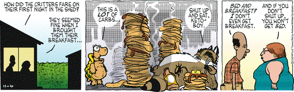 Over the Hedge on Friday November 6, 2020 Comic Strip