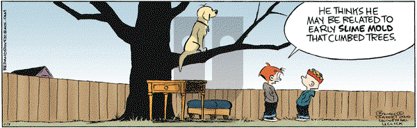 Red and Rover on Friday November 5, 2010 Comic Strip