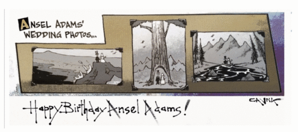 Warped on Tuesday February 20, 2024 Comic Strip