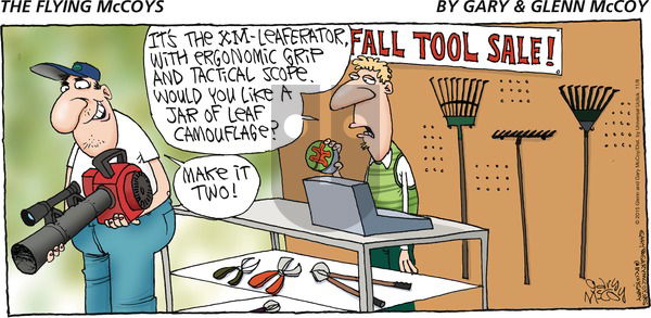 The Flying McCoys on Sunday November 8, 2015 Comic Strip