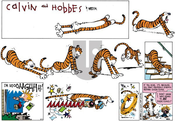 Calvin and Hobbes on Sunday April 28, 1991 Comic Strip