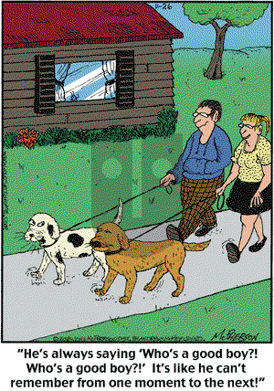 Close to Home on Tuesday November 26, 2024 Comic Strip