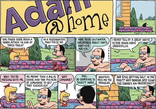 Adam@Home on Sunday June 11, 2017 Comic Strip