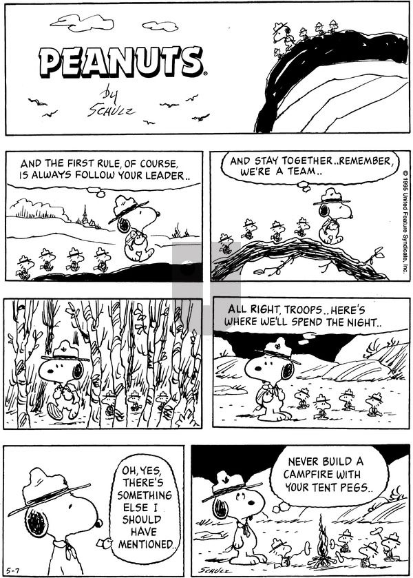 Peanuts on Sunday May 7, 1995 Comic Strip