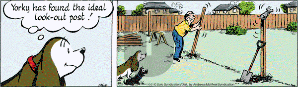Fred Basset on Monday October 21, 2019 Comic Strip