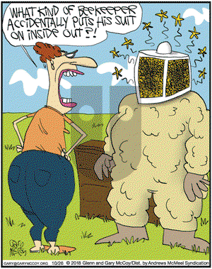 The Flying McCoys on Friday October 26, 2018 Comic Strip