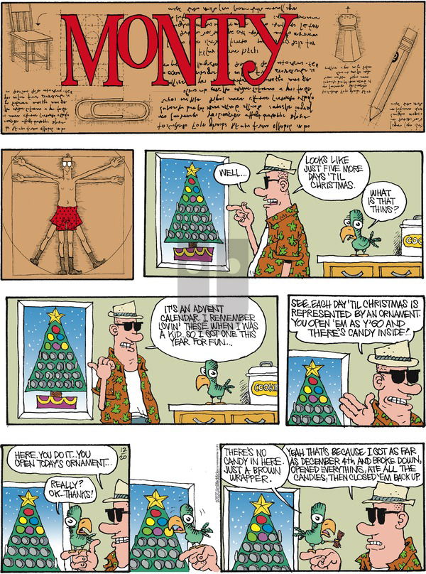 Monty on Sunday December 20, 2020 Comic Strip
