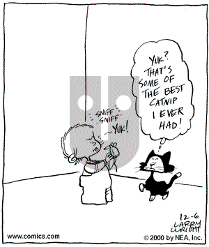 Kit 'N' Carlyle on Monday December 25, 2000 Comic Strip
