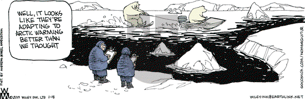 Non Sequitur on Friday January 18, 2019 Comic Strip