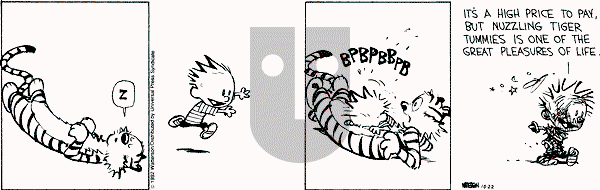Calvin and Hobbes - Thursday October 22, 1992 Comic Strip