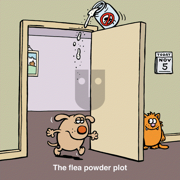 Learn to Speak Cat - Tuesday November 5, 2024 Comic Strip
