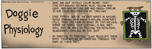 Get Fuzzy on Saturday October 8, 2005 Comic Strip
