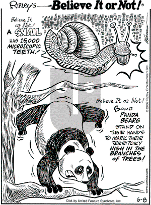 Ripley's Believe It or Not on Saturday June 8, 2002 Comic Strip