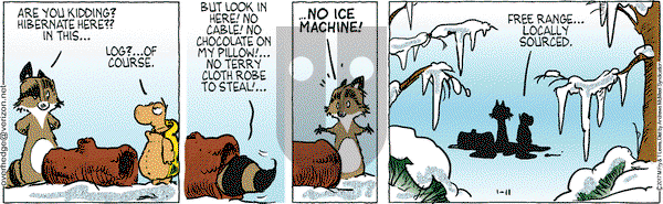 Over the Hedge on Wednesday January 11, 2017 Comic Strip