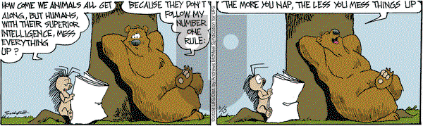 The Grizzwells - Tuesday June 25, 2024 Comic Strip