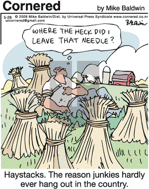 Cornered on Thursday May 28, 2009 Comic Strip