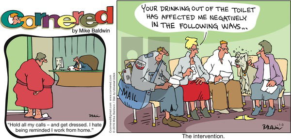 Cornered on Sunday January 3, 2016 Comic Strip