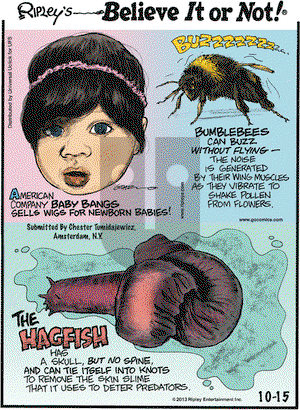 Ripley's Believe It or Not on Tuesday October 15, 2013 Comic Strip