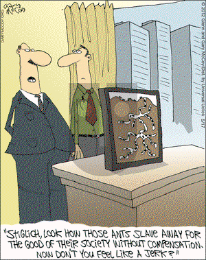 The Flying McCoys - Thursday May 17, 2012 Comic Strip