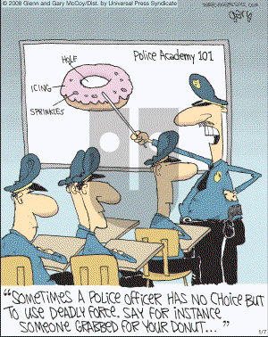 The Flying McCoys on Friday January 18, 2008 Comic Strip