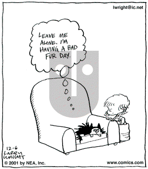 Kit 'N' Carlyle on Thursday December 6, 2001 Comic Strip