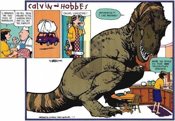 Calvin and Hobbes on Sunday July 12, 2015 Comic Strip