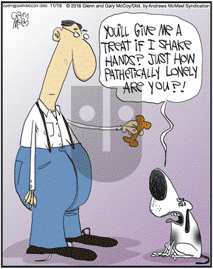 The Flying McCoys on Monday November 19, 2018 Comic Strip