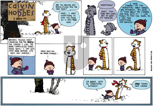Calvin and Hobbes on Sunday December 26, 1993 Comic Strip