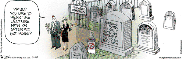 Non Sequitur on Tuesday May 20, 2025 Comic Strip