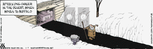 Non Sequitur on Thursday February 4, 2016 Comic Strip