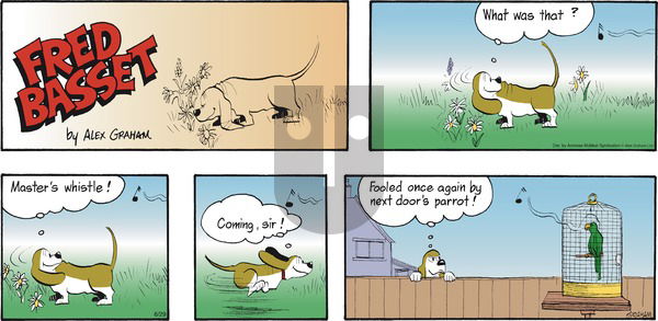 Fred Basset on 2025-06-29 Comic Strip