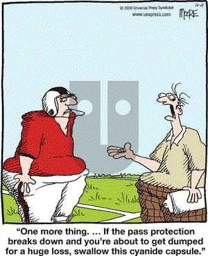 In the Bleachers on Saturday November 11, 2000 Comic Strip