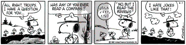 Peanuts on Tuesday June 1, 1982 Comic Strip