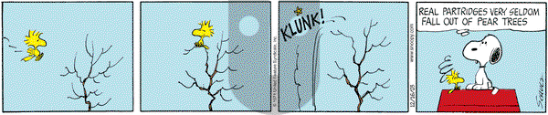 Peanuts on Tuesday December 16, 2003 Comic Strip