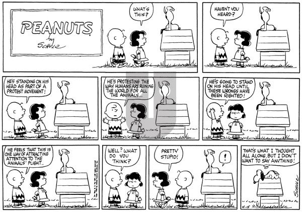 Peanuts on Sunday April 15, 1962 Comic Strip