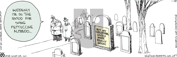 Non Sequitur - Monday January 28, 2008 Comic Strip