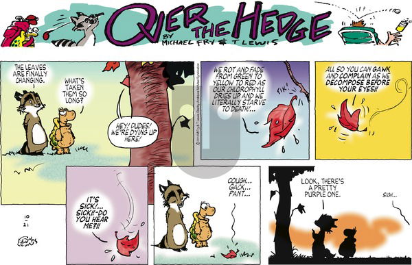 Over the Hedge on Sunday October 21, 2018 Comic Strip