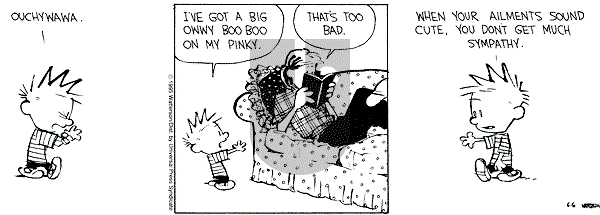 Calvin and Hobbes - Tuesday June 6, 1995 Comic Strip