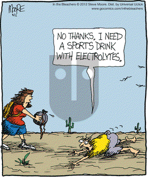 In the Bleachers on Thursday August 2, 2012 Comic Strip