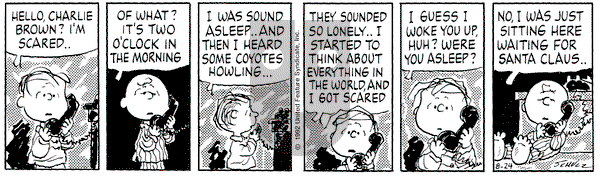 Peanuts on Monday August 24, 1992 Comic Strip
