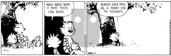 Calvin and Hobbes - Wednesday June 7, 1995 Comic Strip
