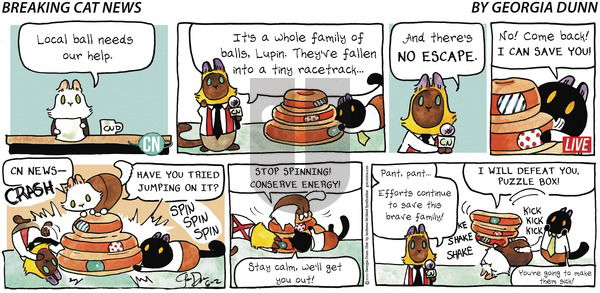 Breaking Cat News on Sunday June 2, 2019 Comic Strip