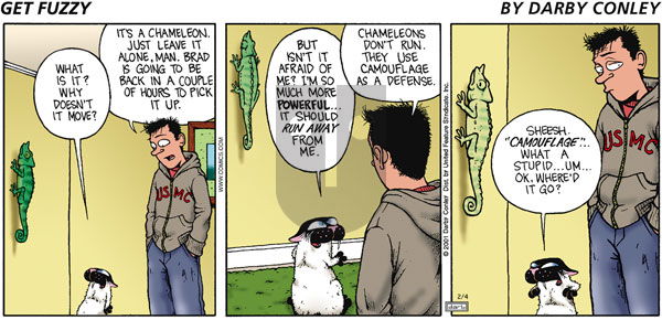 Get Fuzzy on Sunday February 4, 2001 Comic Strip