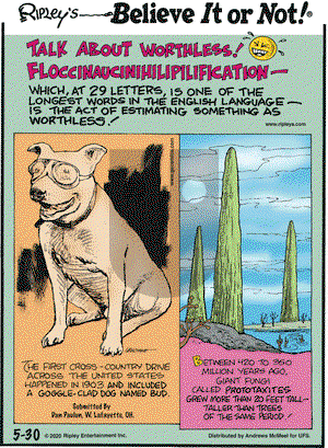 Ripley's Believe It or Not on Saturday May 30, 2020 Comic Strip