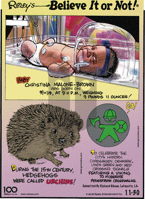 Ripley's Believe It or Not on Saturday November 30, 2019 Comic Strip