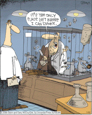 The Flying McCoys on Friday January 30, 2009 Comic Strip