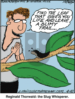 Close to Home on Thursday April 10, 2014 Comic Strip
