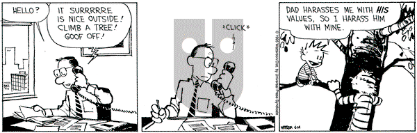 Calvin and Hobbes on Wednesday June 14, 1995 Comic Strip