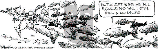 Non Sequitur on Tuesday May 4, 1993 Comic Strip