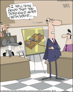 The Flying McCoys on Wednesday June 4, 2025 Comic Strip